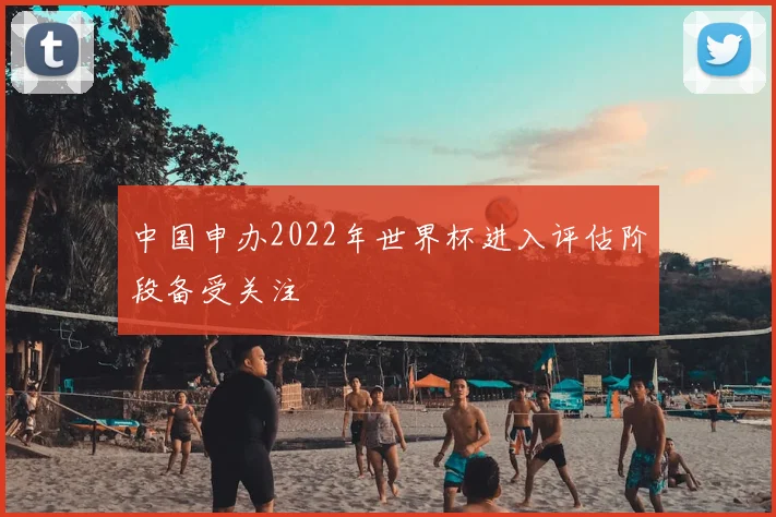 中国申办2022年世界杯进入评估阶段备受关注