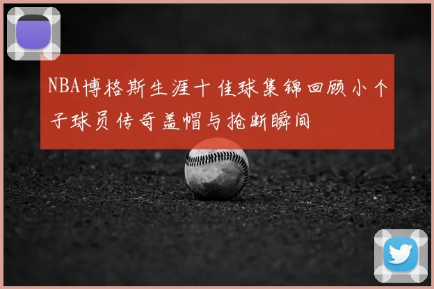 NBA博格斯生涯十佳球集锦回顾小个子球员传奇盖帽与抢断瞬间